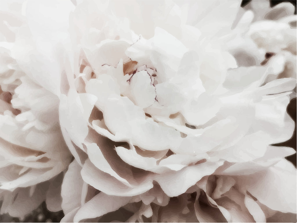 Education on Skincare Ingredients